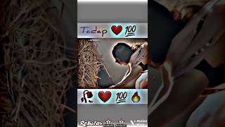 MereMehboob❤️TriptiDimribroken💔trendinglove❤️viral🥀videoshorts [upl. by Shandie]