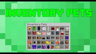 Inventory Pets Mod Showcase 12011710 [upl. by Ititrefen]