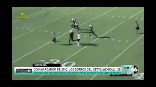 Zorros del CETYS Mexicali se imponen a los Ensenada Sharks con marcador 290  Canal 66 [upl. by Lunseth]