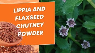 Enrich your meal with lippia and flaxseed chutney mix powder [upl. by Ablem]