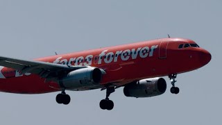 Jetstar A320200 “Low fares forever livery” VHVGF [upl. by Muraida]