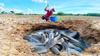 awesome fishing catch a lots of monster Redfish and catfish in under the ground by hand [upl. by Aynot]