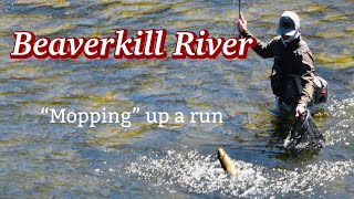 EURO NYMPHING the BEAVERKILL River When to use the MOP FLY [upl. by Gnas921]