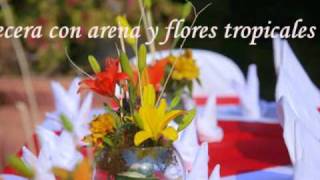 ARREGLOS FLORALES Y DECORACIÓN PARA BODAS EN LA PLAYA EN IXTAPAZIHUATANEJOTRONCONES MÉXICO [upl. by Alegnasor]