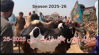 New season 202526 Qurbani  Hyderabad bypass Mandi latest update 26062024 [upl. by Korman]