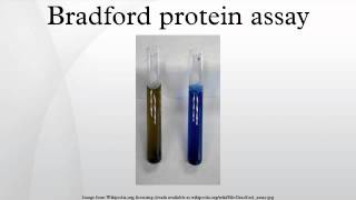 Bradford protein assay [upl. by Ohaus]