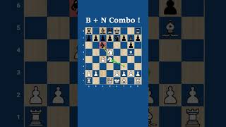 Stunning Bishop and Knight Checkmate by Queen Sac [upl. by Oiralih]