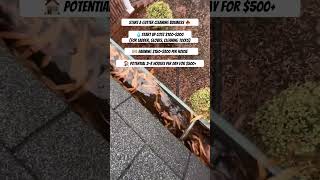 Gutter Cleaning Business Idea 🍁🤑 [upl. by Gauntlett]