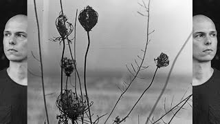 Recondite  Placid Full Album [upl. by Johnny]