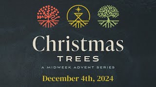 124 Midweek Advent Christmas Trees [upl. by Arhez]