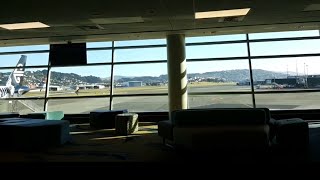 Wellington Airport  Fire Alarm Activation  View from Airside  False Alarm [upl. by Yvehc]