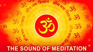 OM संगीत  The Power of Chanting Om in Nature  tubestory meditation [upl. by Atteirneh]