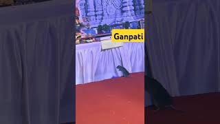 Mushak Ganpati shorts ytshorts viralvideo ganpati mushak mouse bappa love trending hindu [upl. by Llednil]