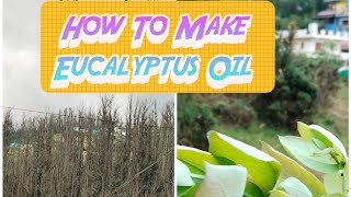 How To Make Eucalyptus Oil [upl. by Idel]