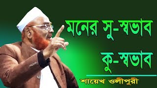 মনের সু স্বভাব কু স্বভাব Allama Nurul Islam Olipuri Bangla Waz 2019 [upl. by Hsirap]