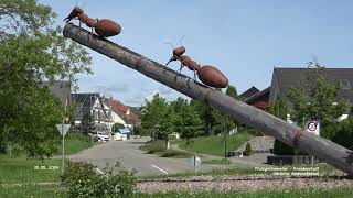 Skulptur Ameisenkreisel  Pfalzgrafenweiler [upl. by Adam]