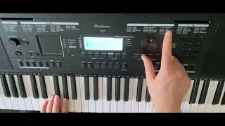 Klänge und Rhythmen eines Keyboards verwenden Am Beispiel des Startone MK400  Medeli MK401 [upl. by Bonnibelle]