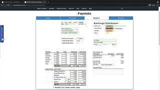 How To Use Modern Style Pay Stub Generator [upl. by Euqnimod828]