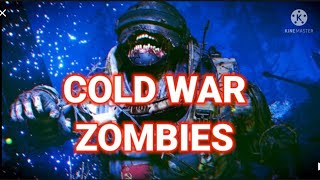 Call of Duty Cold War zombies HAUER 77 IS GOOD [upl. by Chura]