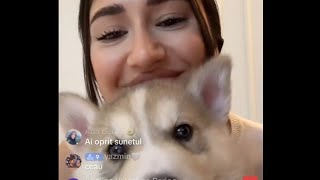 lorena si laurentiu live 06052024 [upl. by Haeel]