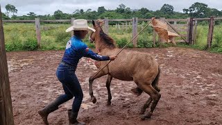 DOMANDO POTROS XUCROS [upl. by Enimasaj]