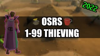 OSRS 199 Thieving Guide 20222023  All Methods Fast [upl. by Conn750]