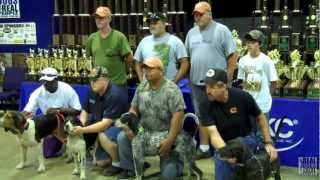 2012 UKC Coonhound World Championship  United Kennel Club [upl. by Harve]