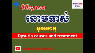 នោមទាស់ មូលហេតុនិងវិធីព្យាបាល l Dysuria causes and treatment l នោមទាស់ l HealthTube Offical [upl. by Bascomb307]