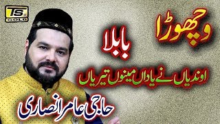 Babula Mainu yaadan teriyan aundiya ne by haji amir ansari TS GOLD 2018 [upl. by Zales]