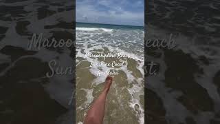 Maroochydore Beach at Sunshine Coast Queensland Australia beach beautiful myleentv wow shorts [upl. by Yderf237]