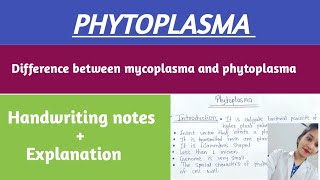 Phytoplasma characters symptoms lifecycle amp control ✅  Phytoplasma notes [upl. by Enirehtak]