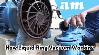 Liquid Ring Vacuum Pump Working Principle Usage Best Practice Common Problems and Repair [upl. by Jadd595]