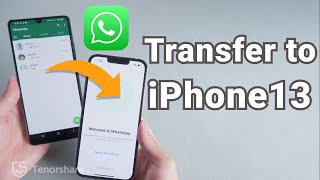 How to Transfer WhatsApp from Android to iPhone 1313 mini13 ProPro Max [upl. by Adnaluoy79]