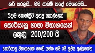 හරි සරලයි ලකුණු 200 න් 200යි  korean exam tips  කොරියානු භාෂා විභාගය 2023 Sinhala [upl. by Calvina]