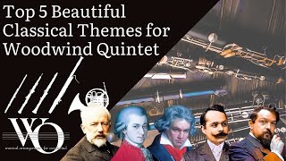 Top 5 Beautiful Classical Themes for Woodwind Quintet  1st Version  WO [upl. by Ahsrat759]