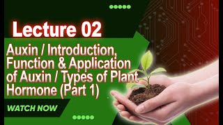 Auxin  Introduction Function amp Application of Auxin  Types of Plant Hormone Part 1  Lecture 2 [upl. by Enra857]