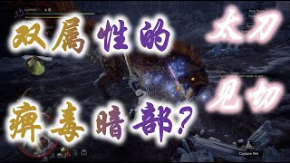 【怪物猎人世界MHWi】痹毒龙 vs 太刀见切斩看破斩 攻击动作解析与太刀见切回避时机 Viper TobiKadachi vs Long Sword Foresight Slash [upl. by Hanafee249]