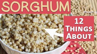 Sorghum 101 Try This Instead of Rice [upl. by Natek]