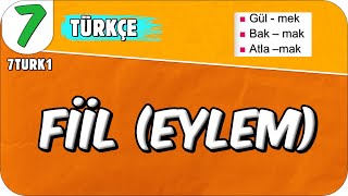 Fiiller 📙 7TURK1 2025 [upl. by Sofie923]