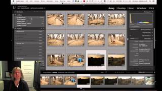 How to Export and Merge Lightroom Catalogs [upl. by Anilys]