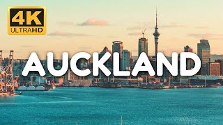 Auckland New Zealand 2024  Full Travel Guide [upl. by Lehteb]