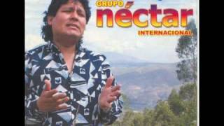 cerveza ron y nectar  GRUPO NECTAR [upl. by Lossa]