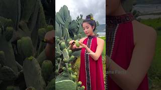 cactus fruits farming shorts [upl. by Cherish541]