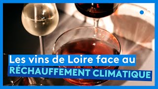 Angers  salon des vins de Loire 2023 et adaptation au réchauffement climatique [upl. by Ademla601]