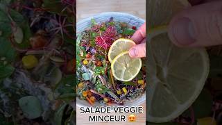 SALADE VEGGIE MINCEUR 🫠🤤 [upl. by Arekahs175]