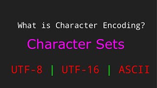 What is Character Encoding and Character Sets [upl. by Nitsreik]