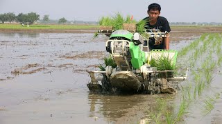 Mesin Tanam Padi Modern Transplanter [upl. by Bena]