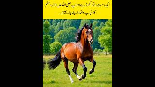 Amazing Miracle Horse and Hazrat Muhammad SAW Islamic Video trending shorts [upl. by Nyra795]