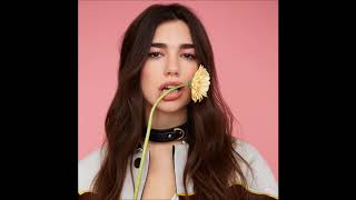 Dua Lipa  New Rules Official Instrumental [upl. by Aldarcie]