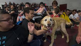 Eddy the service dog retires [upl. by Nnhoj]